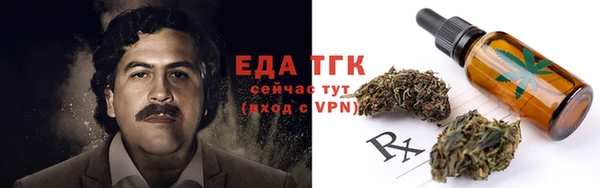 гидра Балахна