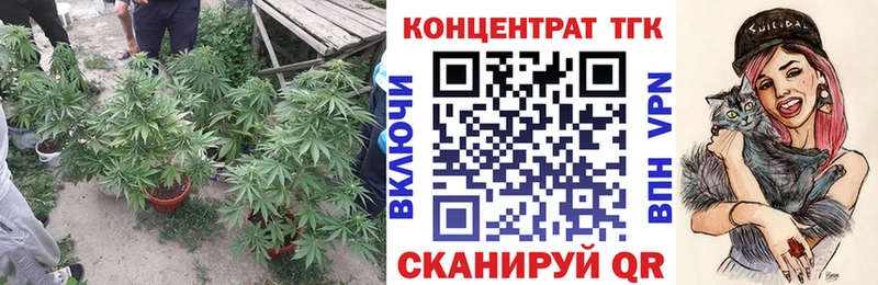 где можно купить   Темников  Дистиллят ТГК концентрат 