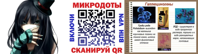 где купить наркотик  Темников  Галлюциногенные грибы Psilocybine cubensis 